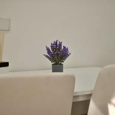 Angelo's House Rom